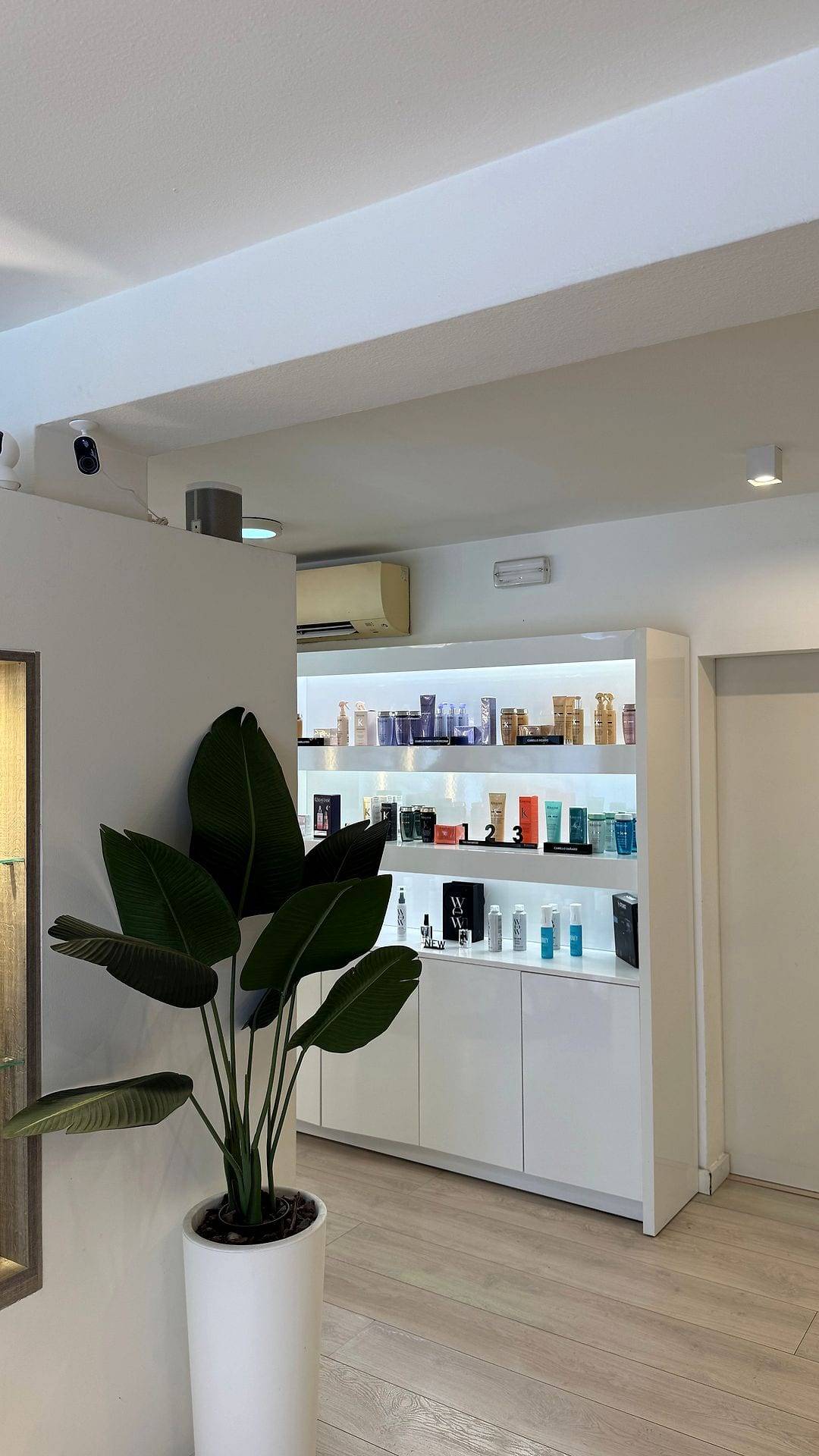 Estanterías blancas iluminadas con productos para el pelo y una planta, al fondo del local